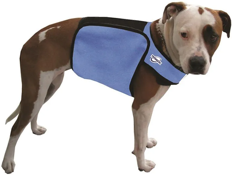 TechKewl Phase Change Cooling Dog Coat